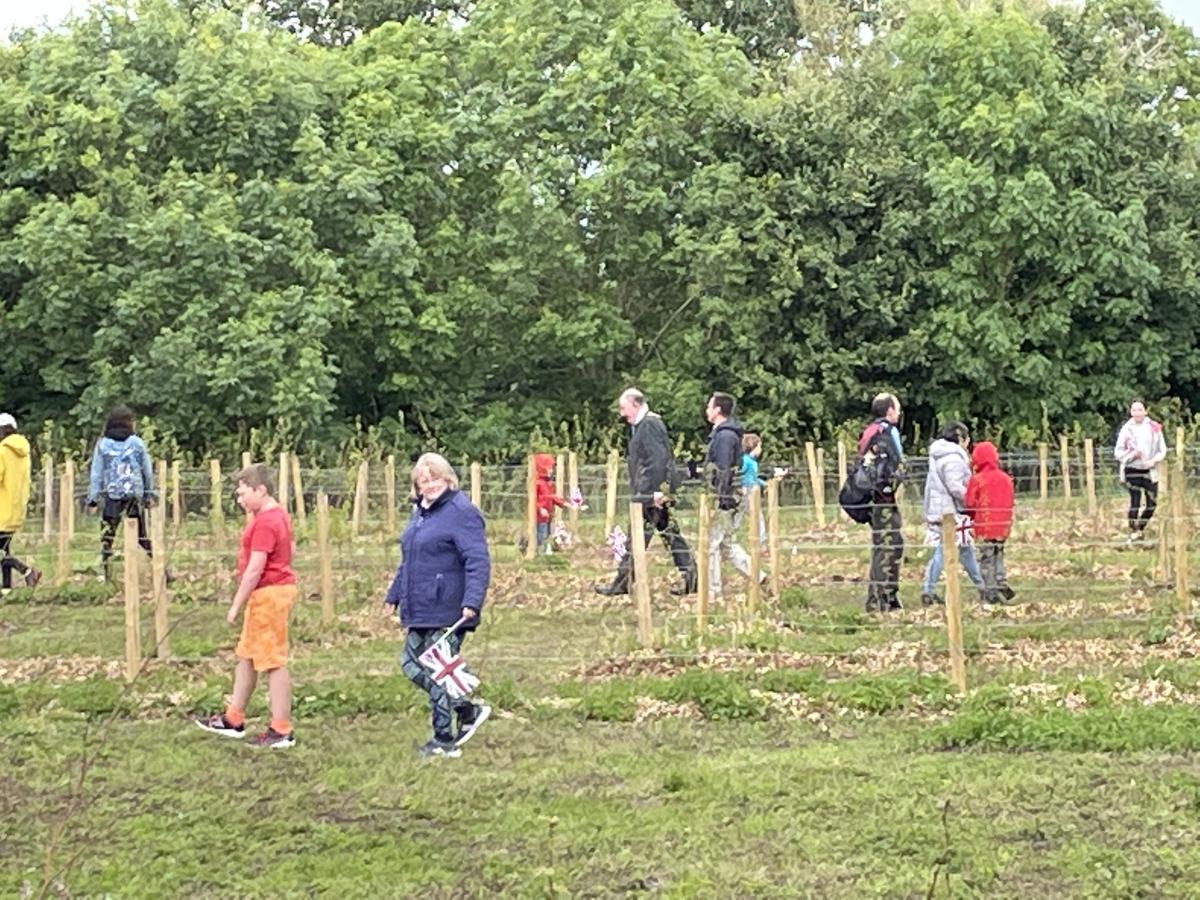 People using the maze