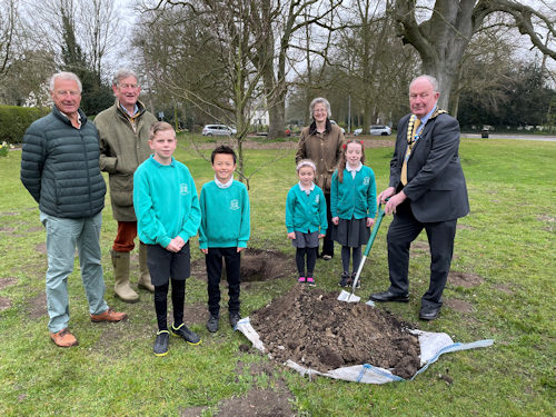 Group of school children helping to plant trees
